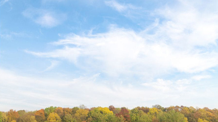 Frรฉdรฉric Chopin - Nocturne in E-flat Major, Op. 9, No. 2 (Kalimba Tab)