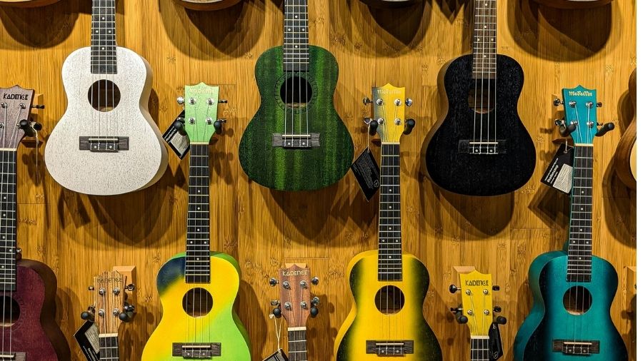 Musical Instruments From Karnataka