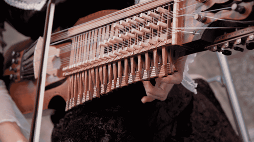Rare Instrument Nyckelharpa