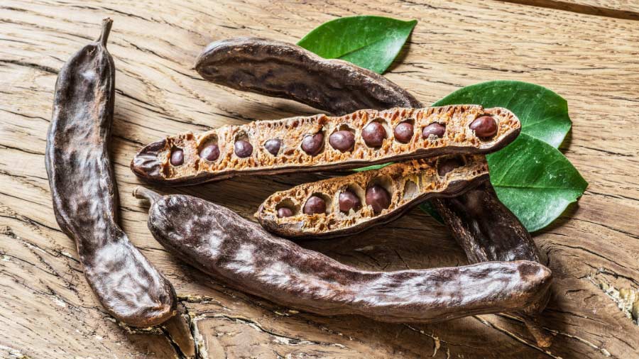 Where to buy a Seed Pod Shaker- Buying Guide