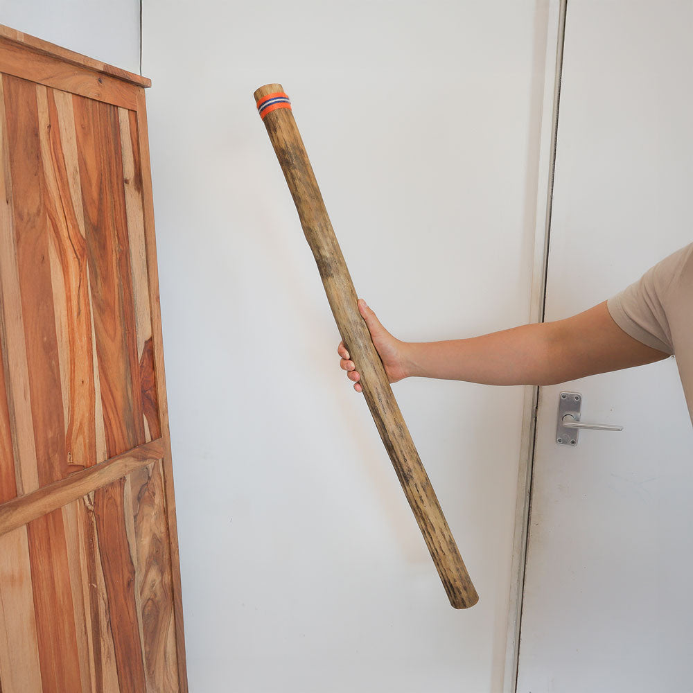 cactus rainstick 100cm next to unit in hand