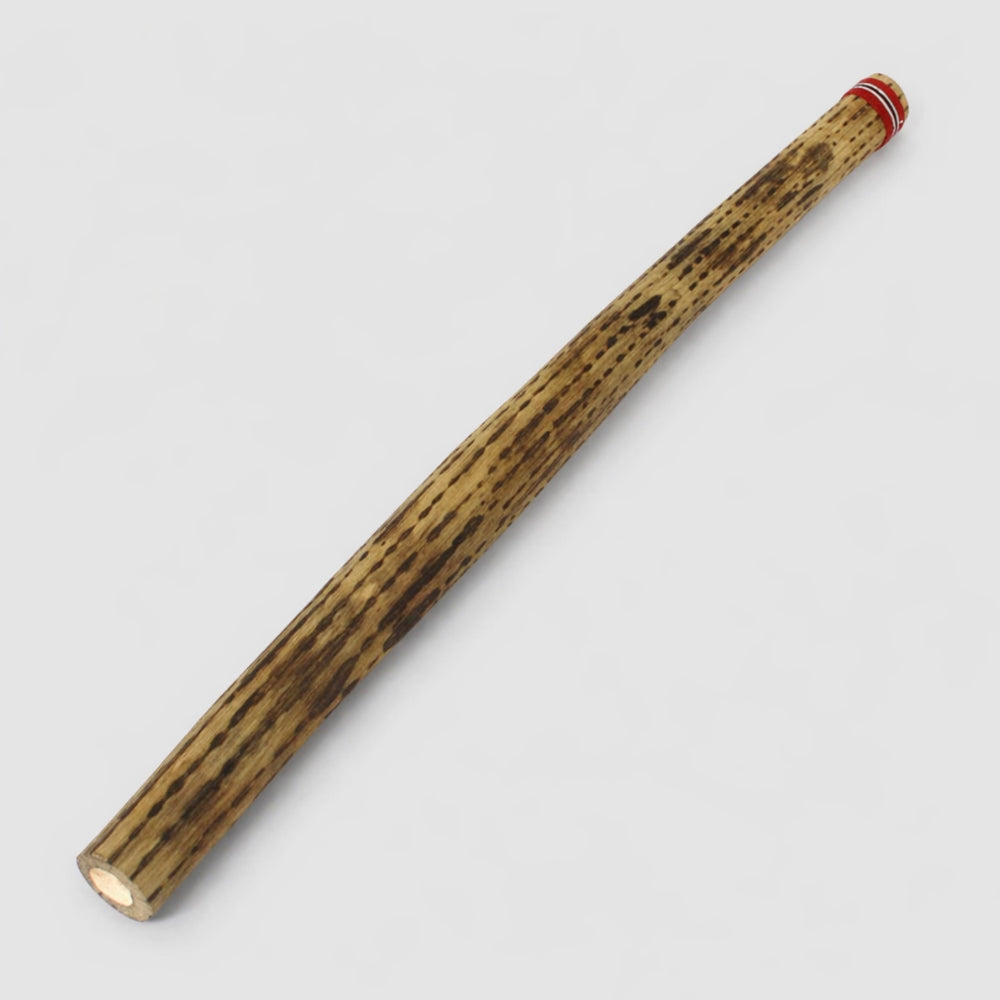 Cactus Rainstick