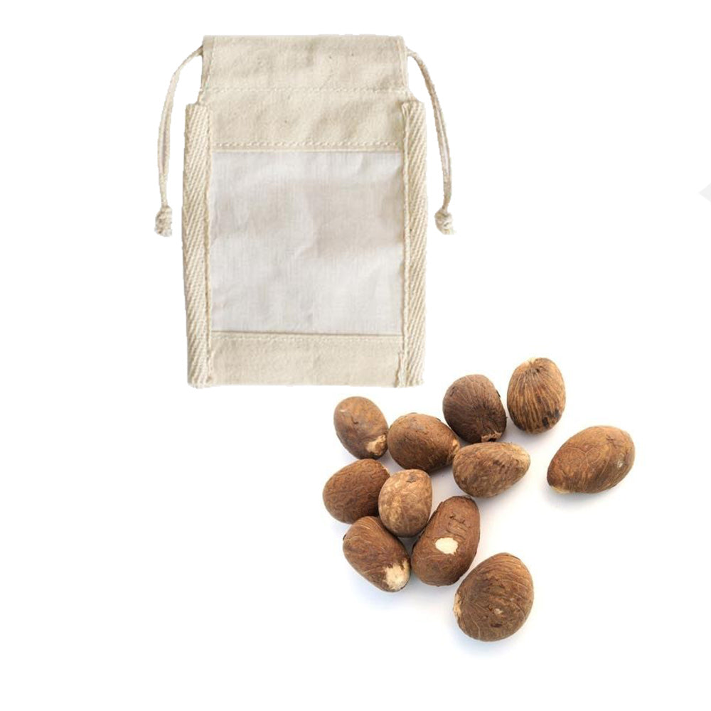 Tagua Seed 20 seeds - Carved Culture