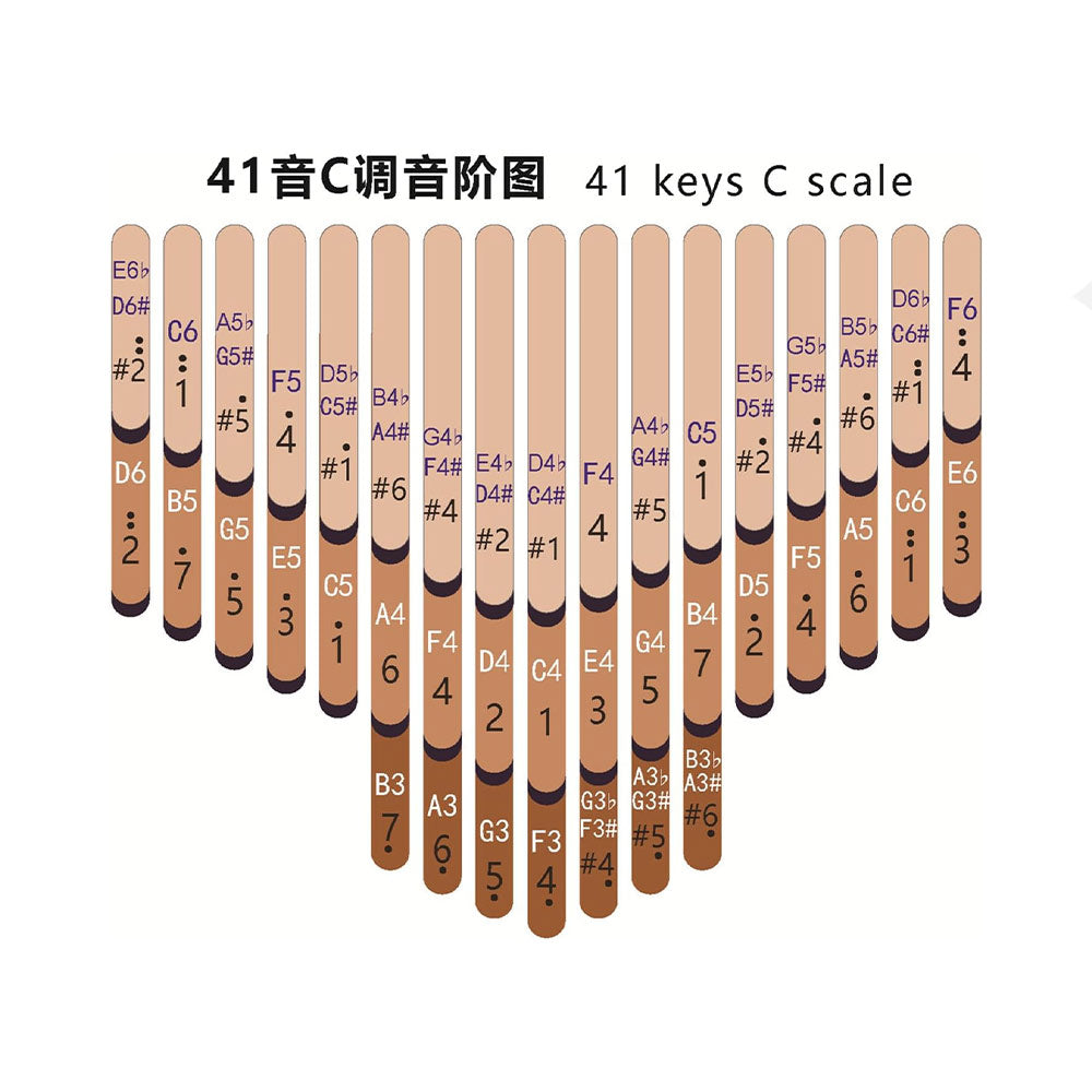 41-Key C scale Seeds Kalimba diagram showing the notes for each key in a clear layout.