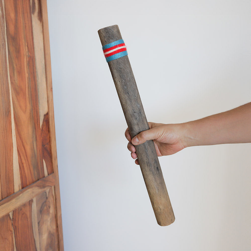 50cm cactus rainstick in hand