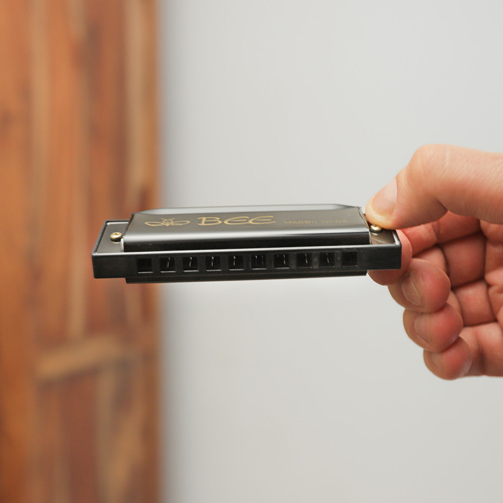 A Bee Harmonica woodwind instrument held in hand, showing its compact size and black casing with "BEE - Made in China" text.
