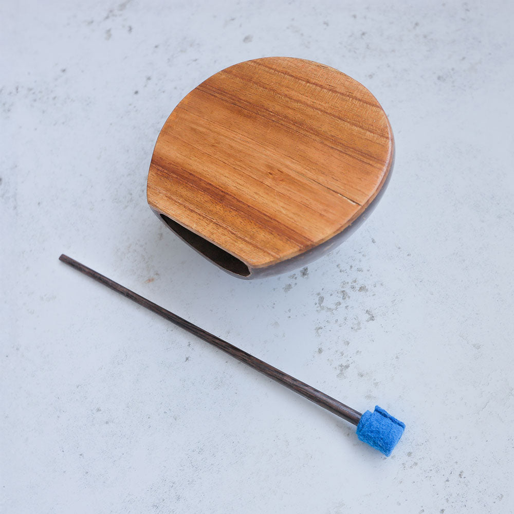 Close up of Coconut Hand Drum