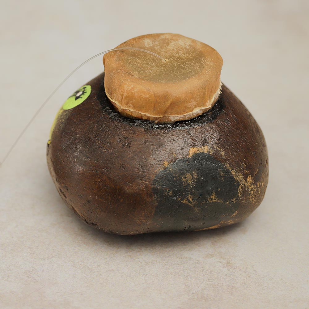 Back view of the Happy Croaking Goblin Sound Effect, showcasing its design and structure from behind.