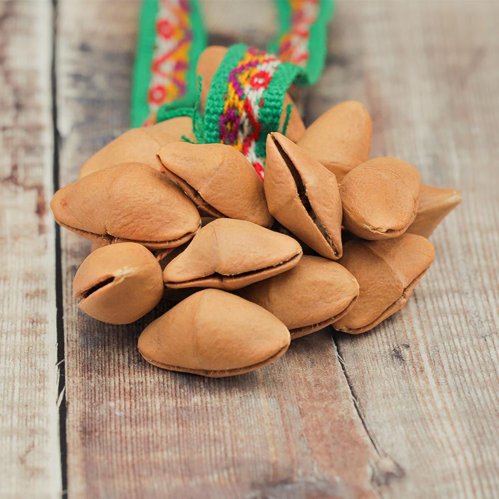Close up of the Lima ribbon shaker showing the natural kenari seeds.