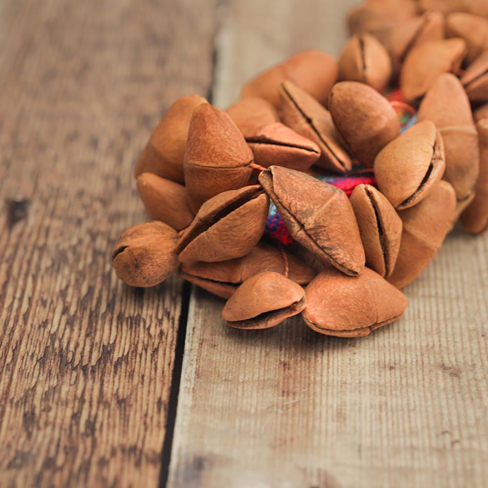 A close up of the Lima Rainbow Cluster