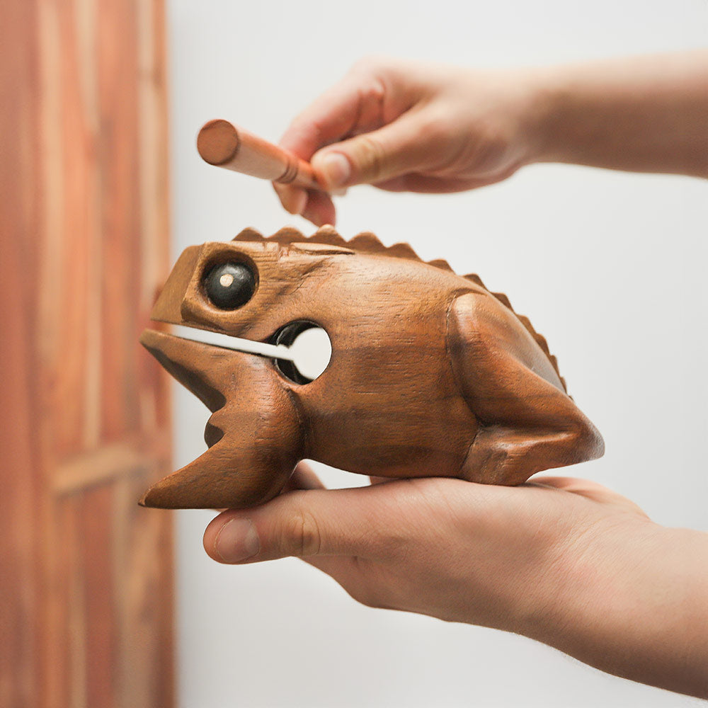 Medium croaking frog guiro made from acacia wood in Northern Thailand held in hand to show scale.