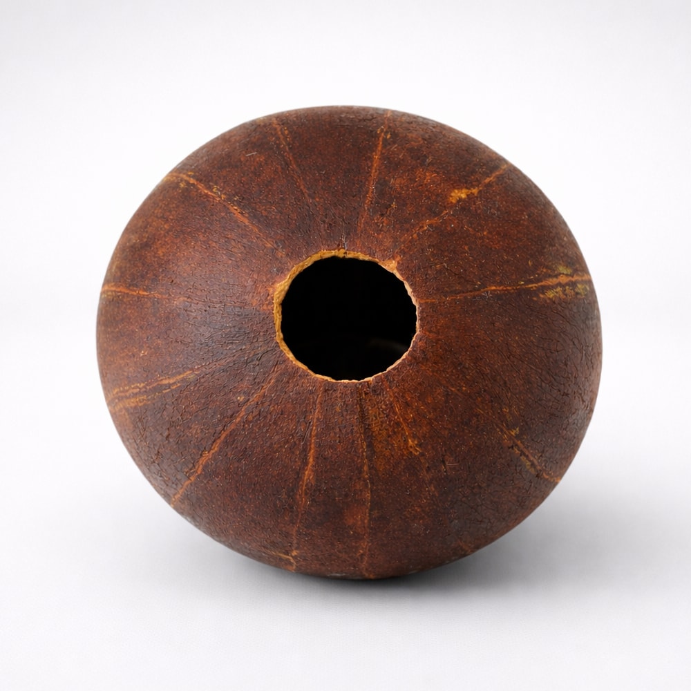 televi gourd shell with hole dual tone whistle