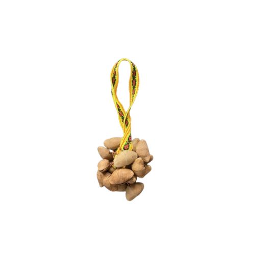 Decorative lima nut shaker on a white background