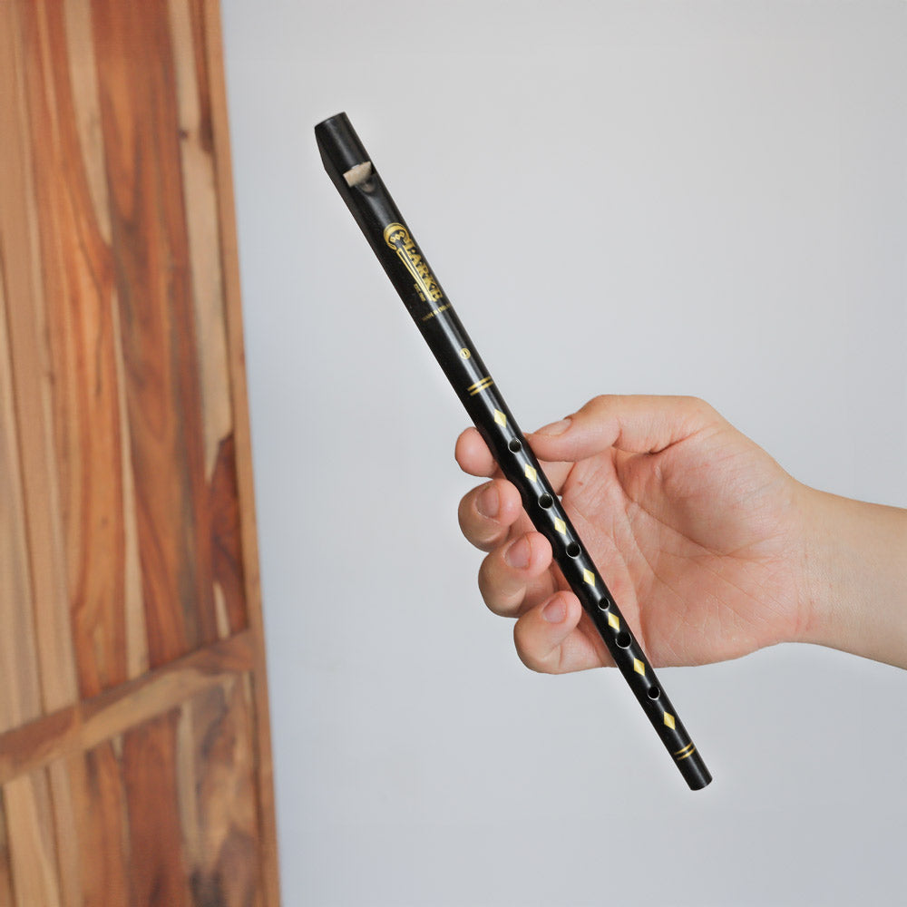black Clarke tin whistle in hand