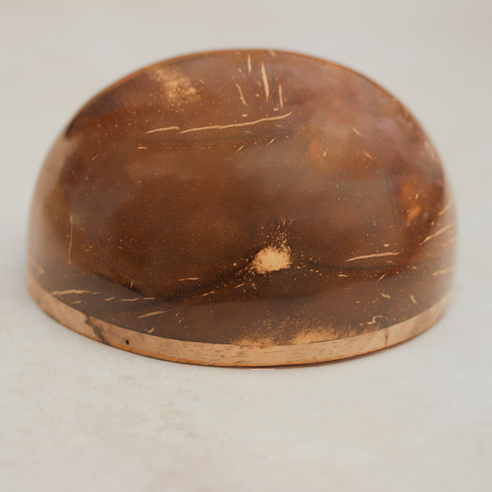 Coconut shell on a light gray background