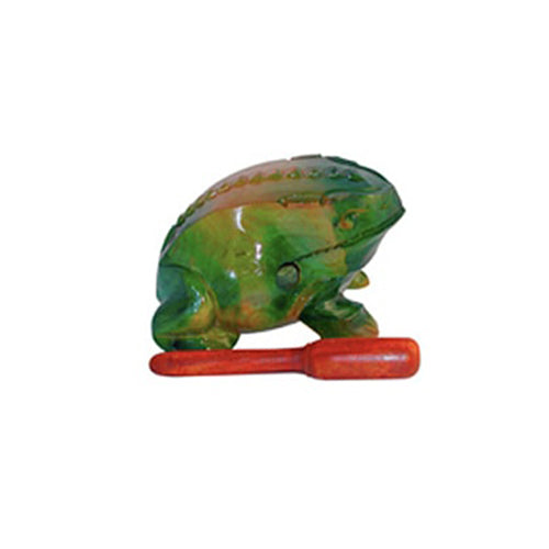 green acacia frog