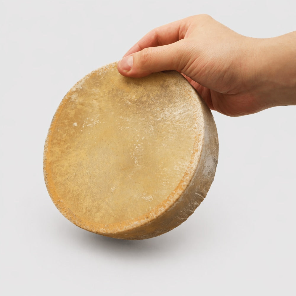 Hand holding a small four inch khenji cow hide shamanic drum on a light gray studio background