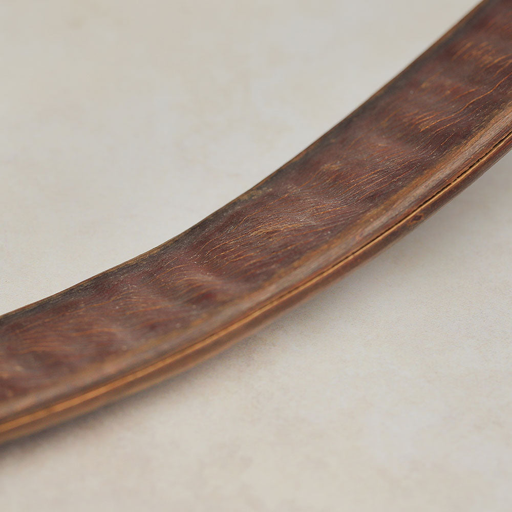 pacay seed pod middle