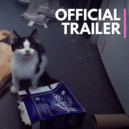 Fluffy short family official trailer