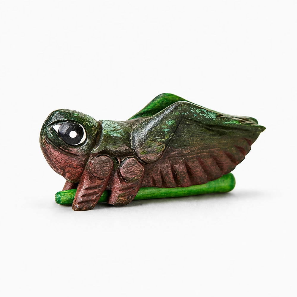 Green and brown wooden cricket guiro on plain background