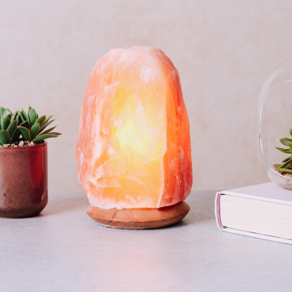salt lamp on with pink background and potted plant
