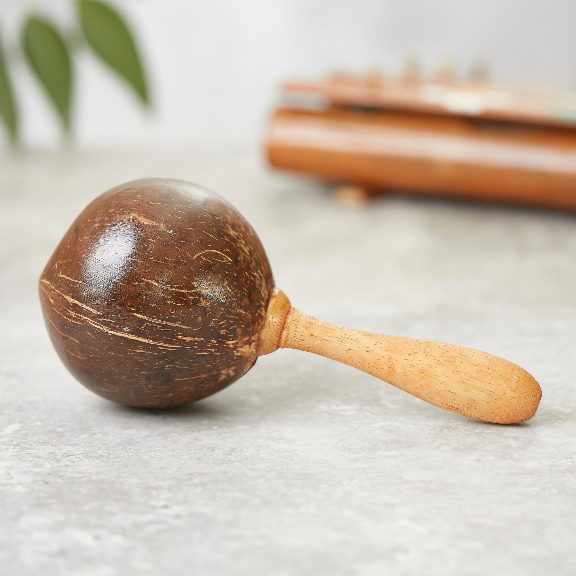 Plain coconut shell maraca shaker