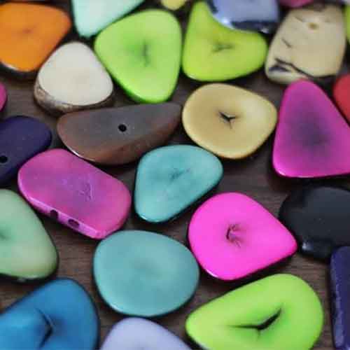 bright colourful tagua nut seeds