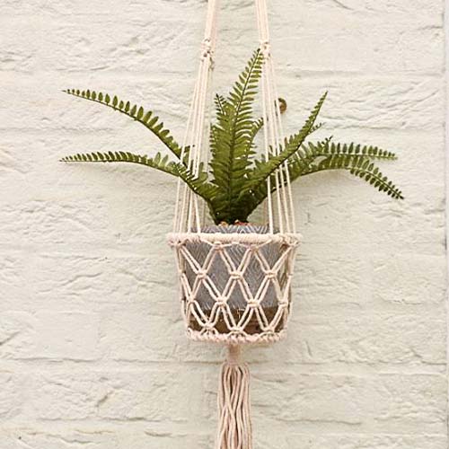 Macrame plant hanger with plant display