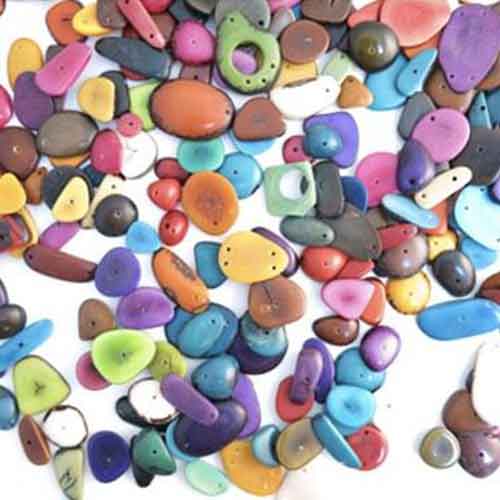 huge bundle of tagua nut seeds