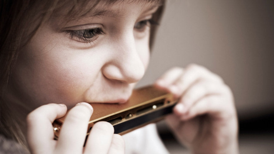 10 of the Best Online Harmonica Lessons and Courses