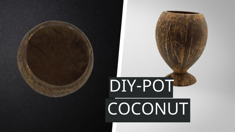 How To Make Coconut Pot At Home (Guide)