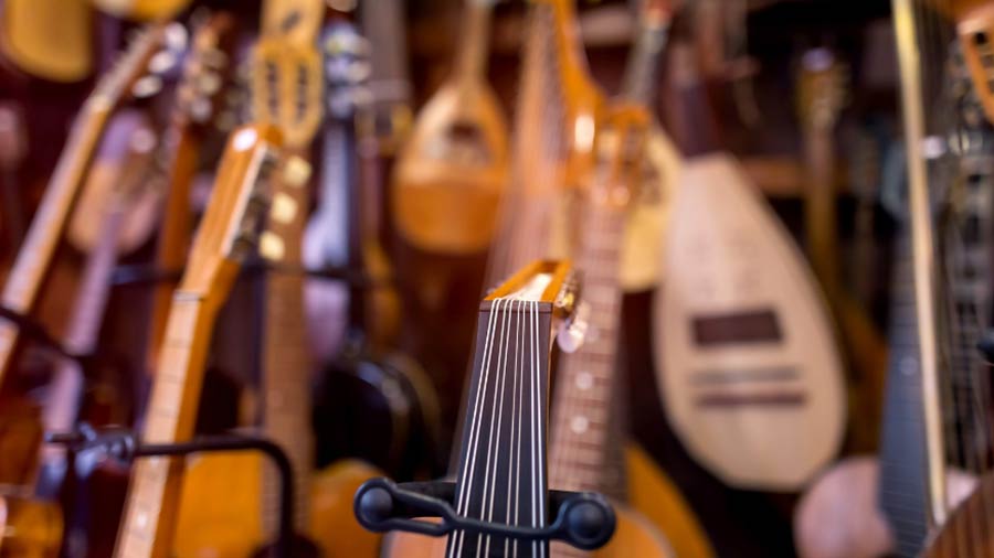 Different Types of Stringed Musical Instruments (Guide)