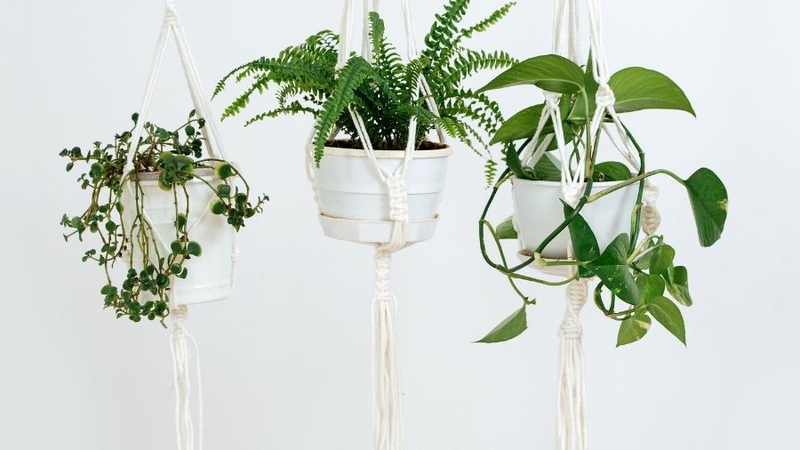 How to make a macrame plant hanger