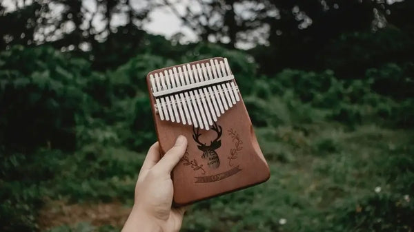 Learning kalimba for beginners deals