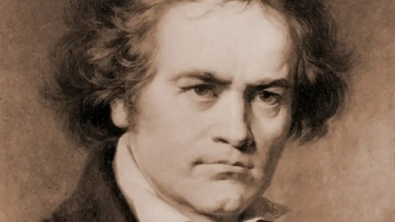 Ludwig van Beethoven - FÜR ELISE (Kalimba tab)