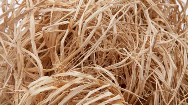 What is raffia? (The Ultimate guide)
