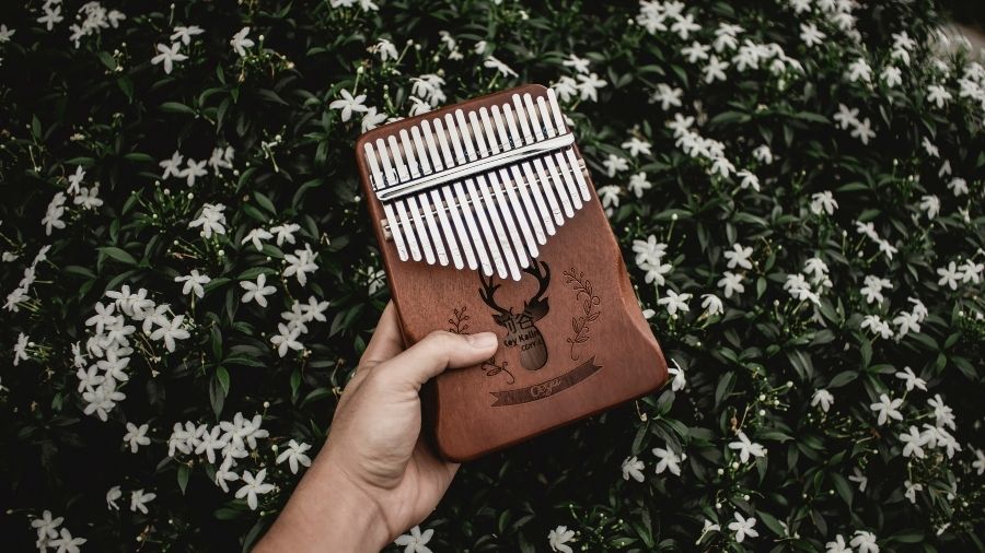 A person holding up a kalimba in front of a background of blooming jasmine flowers.
