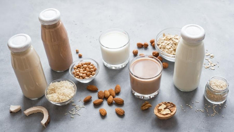 The BEST Plant Based Milk Recipes