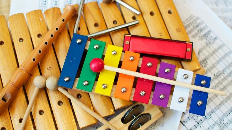 50+ Unusual Musical Instruments (From around the world)