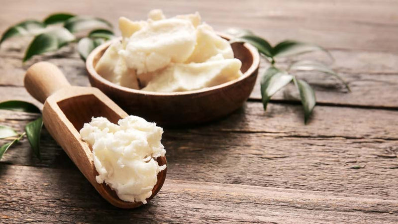 Shea Butter (The Complete Guide)