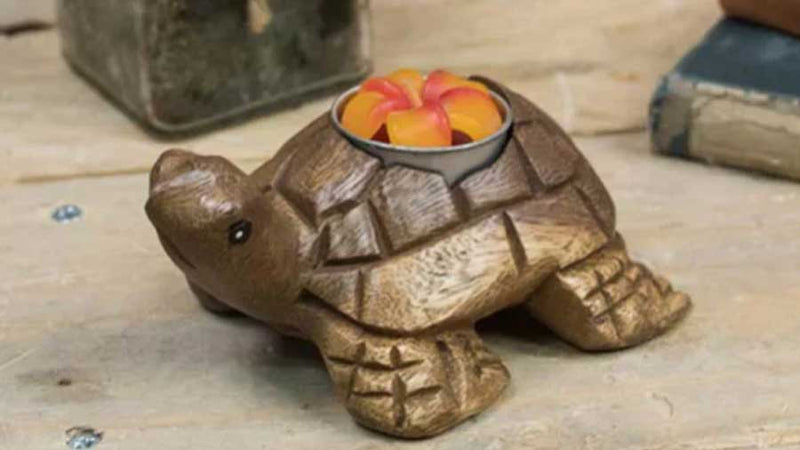 wooden tortoise candle tea light holder