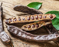 Where to buy a Seed Pod Shaker- Buying Guide