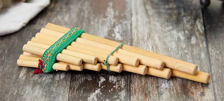 Bamboo Products - Eco-Friendly Musical Instruments
