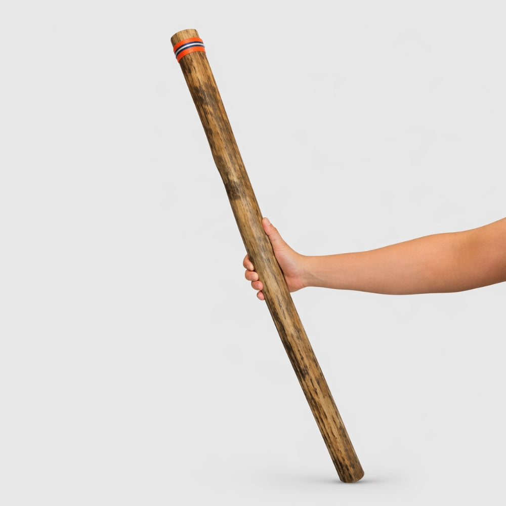 cactus rainstick Large Cactus Rainstick