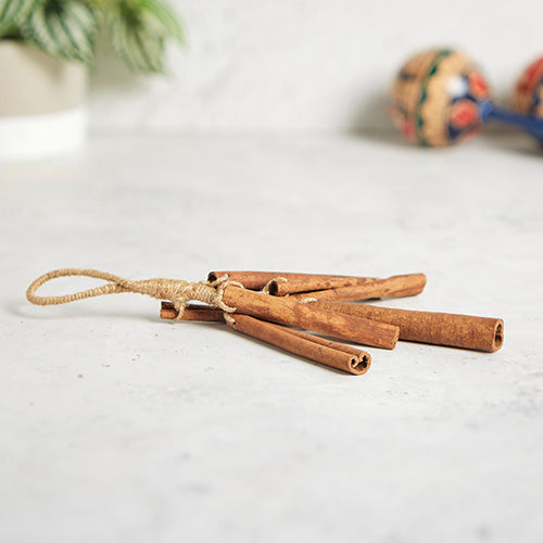 Cinnamon Stick Shaker