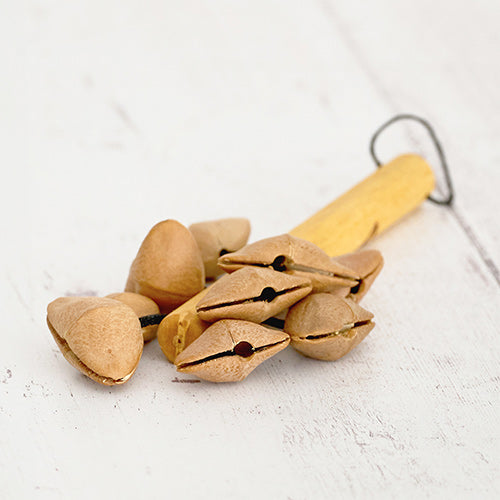 Close up of lima kenari seeds on shaker