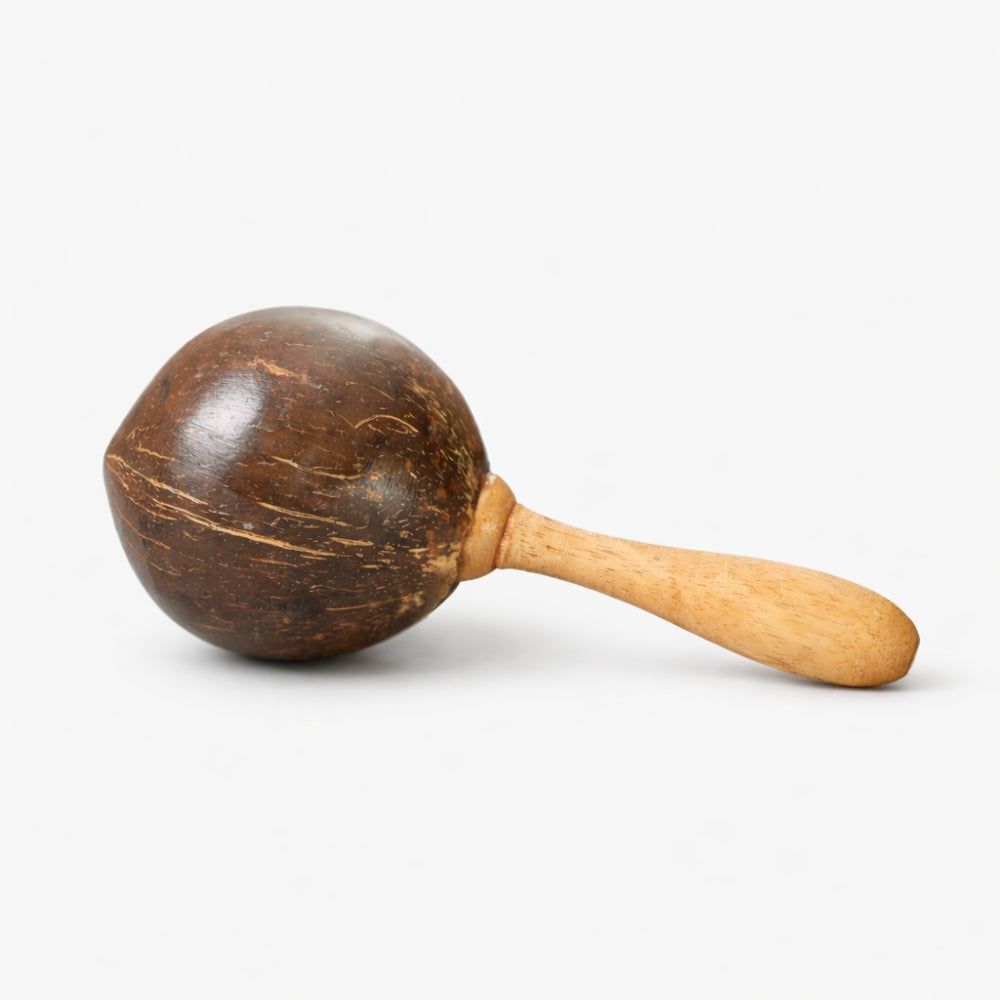 Plain Coconut Shell Maraca with wooden handle on a white background.