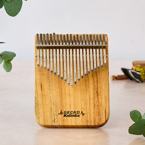 The front of the 21 note Gecko Kalimba 