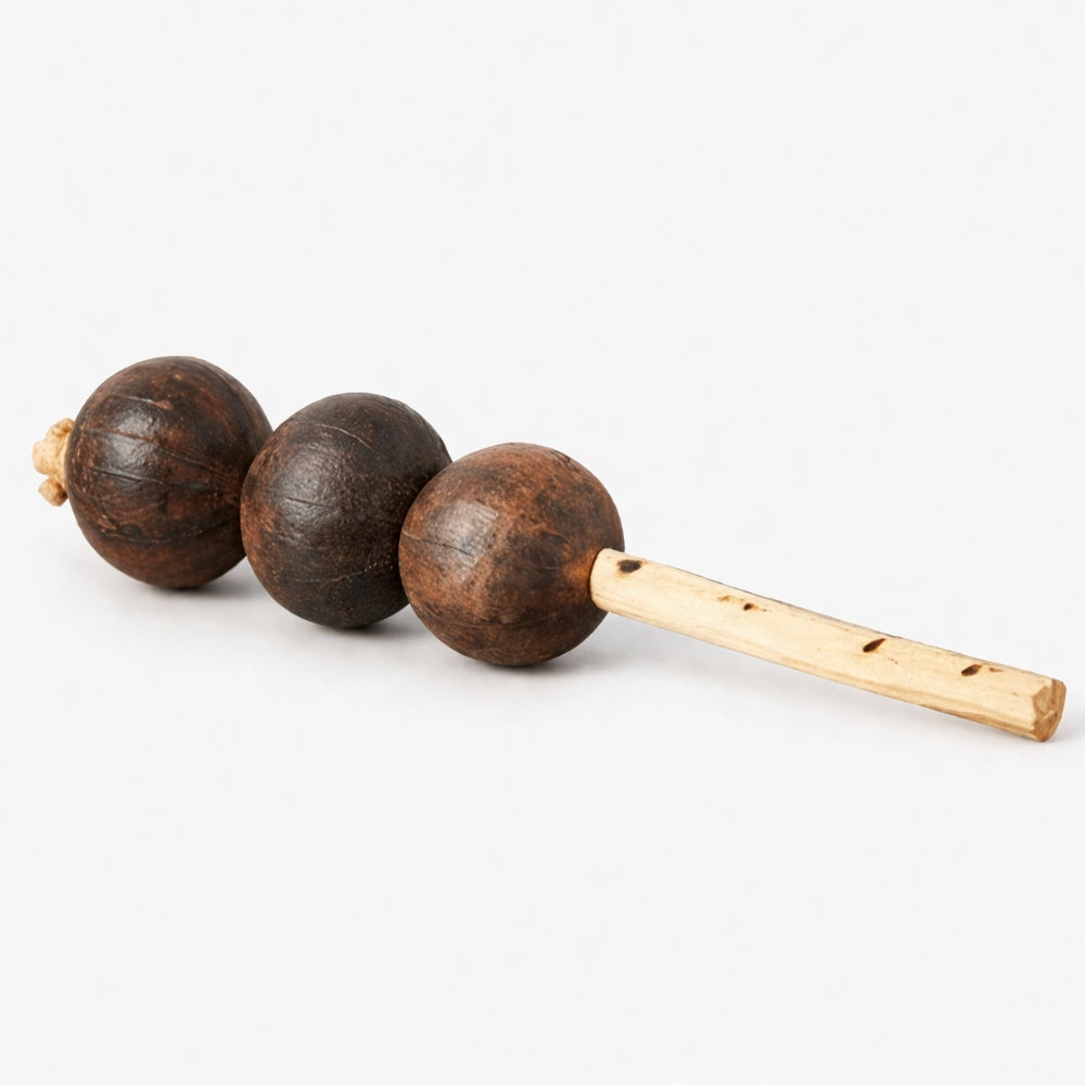 Natural African Hosho triple televi shaker instrument with white background