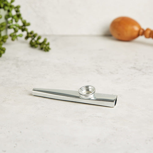 silver metal kazoo 